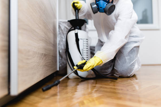 Best Local Pest Control Services  in Lifornia City, CA