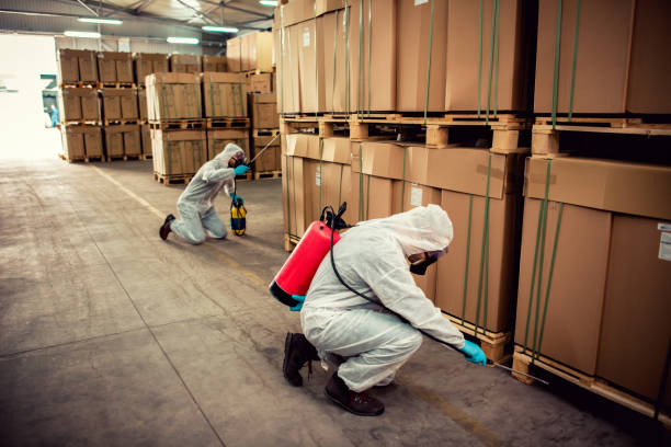 Best Residential Pest Control  in Lifornia City, CA