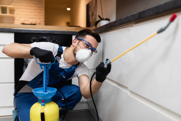 Best Flea Control Services  in Lifornia City, CA