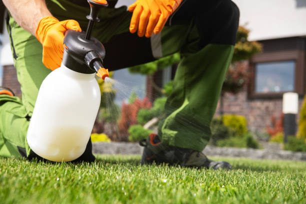 Professional Pest Control in California City, CA