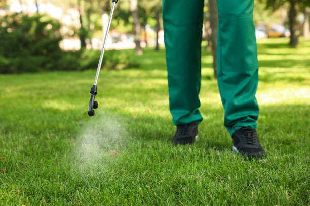 Best Mosquito Control Services  in Lifornia City, CA