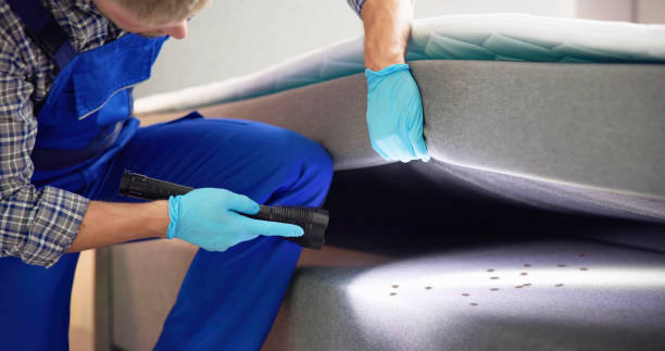 Best Affordable Pest Control Services  in Lifornia City, CA