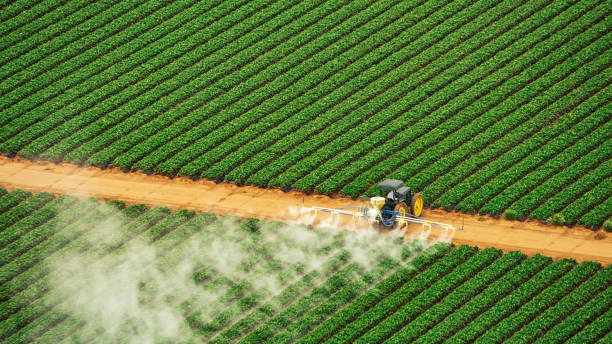 Best Mosquito Control Services  in Lifornia City, CA