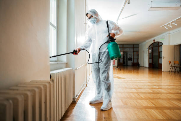 Best Best Pest Control Companies  in Lifornia City, CA