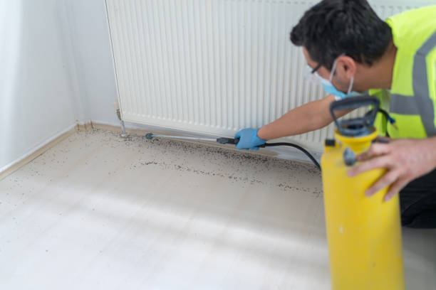 Best Pest Control Near Me  in Lifornia City, CA