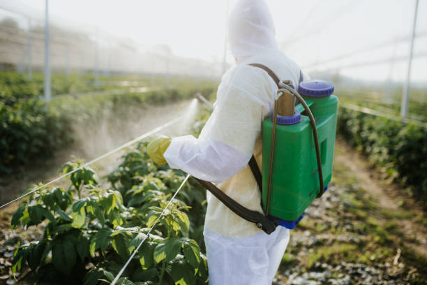Best Bed Bug Extermination  in Lifornia City, CA